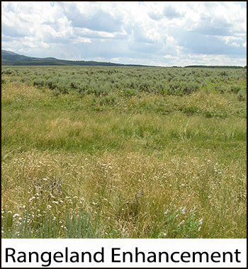 rangeland enhancement icon